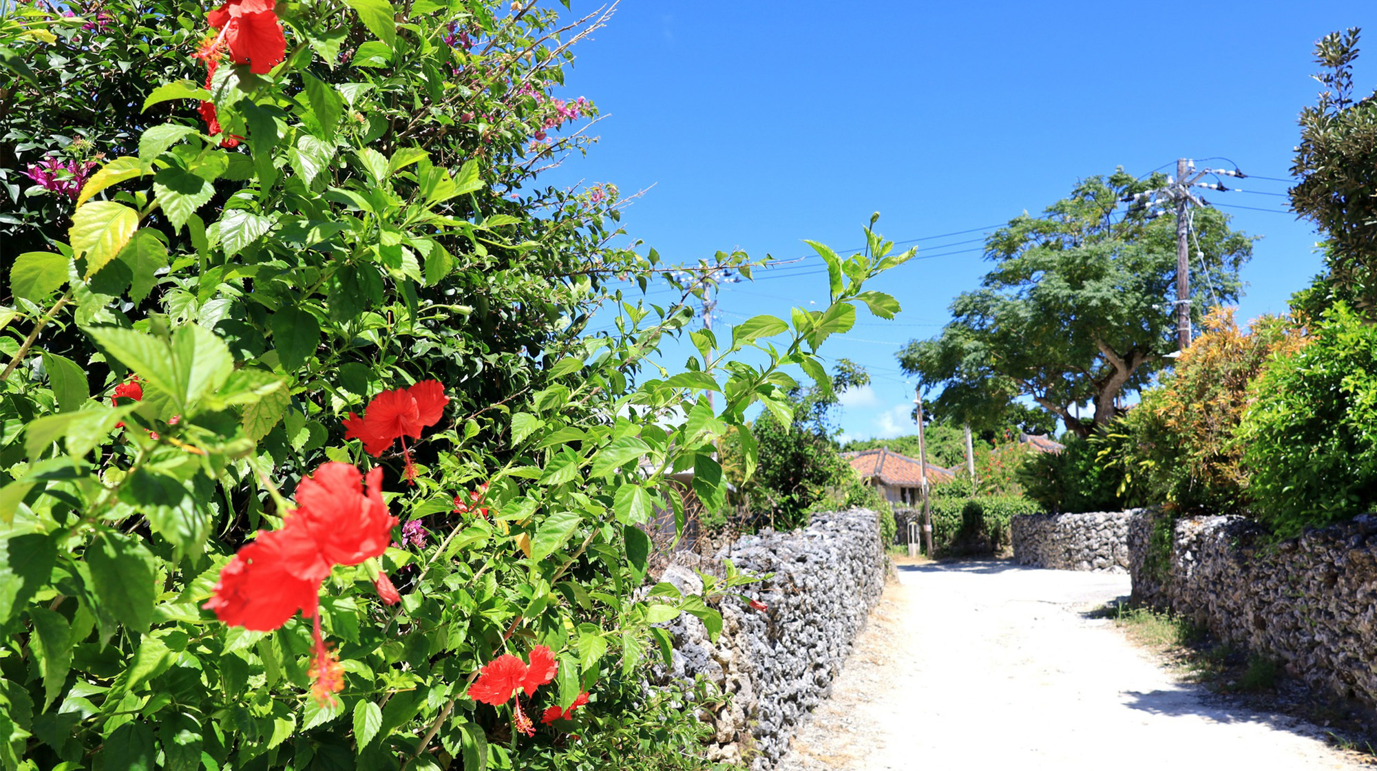 株式会社ランドマーク・コーポレーション
