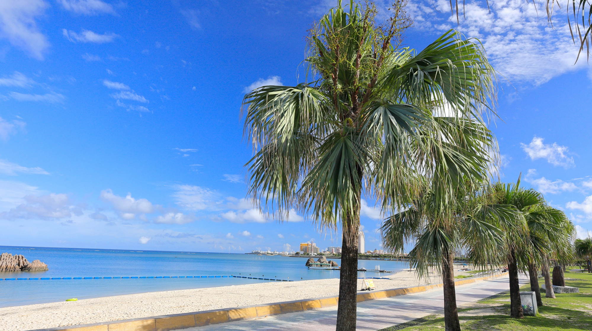 株式会社ランドマーク・コーポレーション